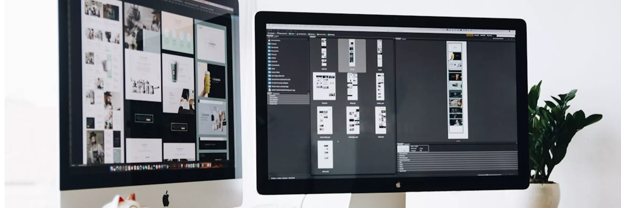 pexels-tranmautritam-326501 1